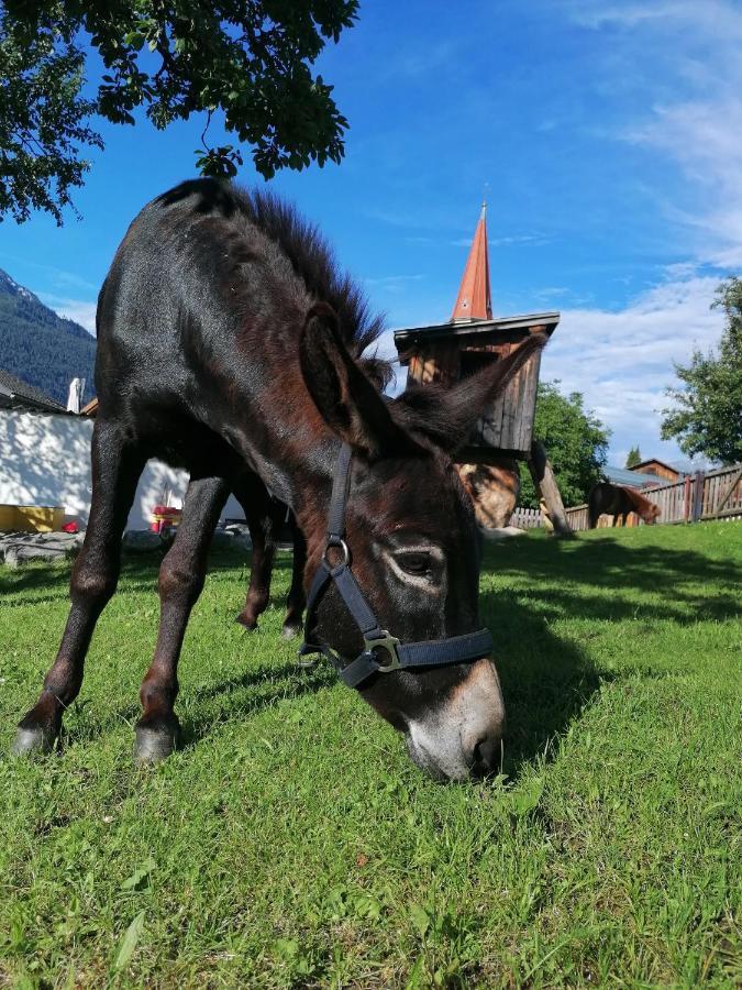 Kinderbauernhof Ierzerhof Arzl im Pitztal Ngoại thất bức ảnh
