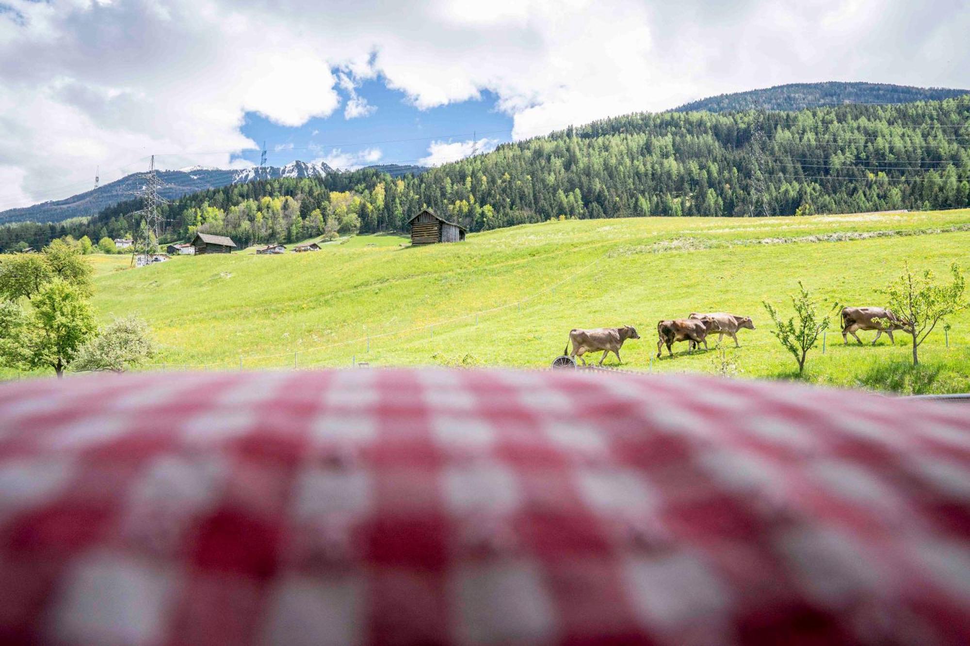 Kinderbauernhof Ierzerhof Arzl im Pitztal Ngoại thất bức ảnh