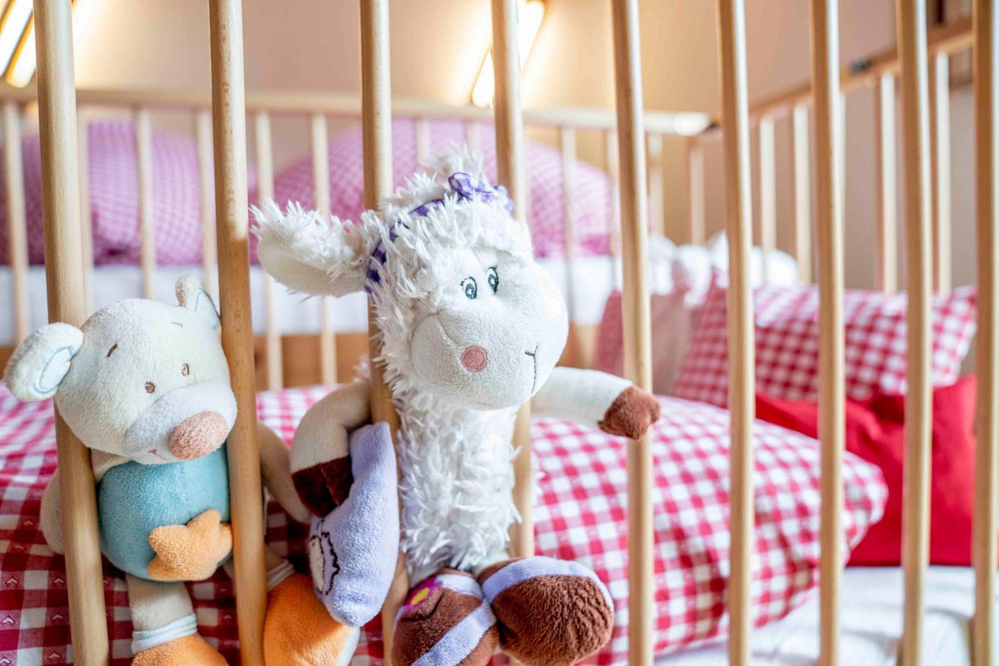 Kinderbauernhof Ierzerhof Arzl im Pitztal Ngoại thất bức ảnh